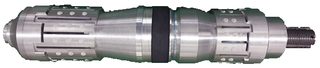 Dual Slips & Strip-Type Element